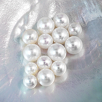 Ayurvedic Chinese Tissue-Nucleated Pearls for Jyotish (Vedic Astrology)